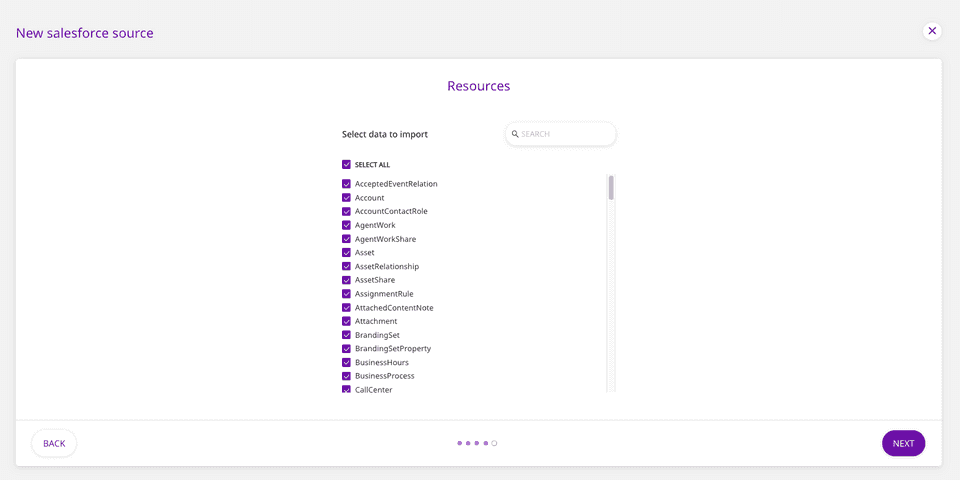Specify the salesforce data